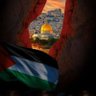 Фото профиля AliBassem🇮🇶