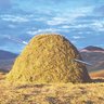 L'agulla del paller profil fotoğrafı