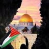 safa elshebany profil fotoğrafı