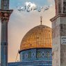 Фото профиля محمد ألقيسي