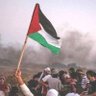 Фото профиля Mahmoud Adel