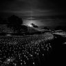 DTG722 (D Spots)'s profile picture