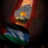 mohamed Ibrahim's profile picture