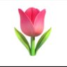 صالح's profile picture