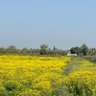 Фото профиля sobhi