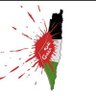 Profilbild von يمنيه حره