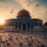 Enes Musullu•أنـس's profile picture