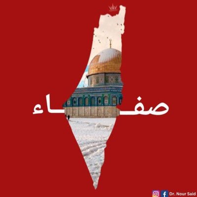 safabarakat1's profile picture