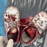 om alhassan profil fotoğrafı