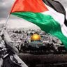 🇵🇸tamer aly profil fotoğrafı