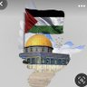 Фото профиля 🇵🇸