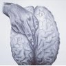 Lietomeever's profile picture
