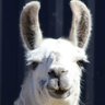 Profilbild von Laama Drop