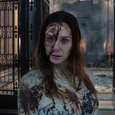 Shield47470325's profile picture
