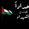 Algeria 的头像