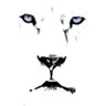 Profilbild von catch{X} ๐ดโโ ๏ธ