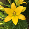 Фото профиля ちゃん