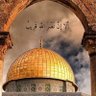 عبيــر الهاجري profil fotoğrafı