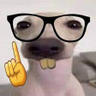 Profilbild von Vasthek_nerds