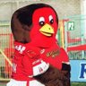 Wrexham Edits profil fotoğrafı