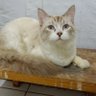 dee profil fotoğrafı