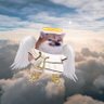 AngelFella 的头像