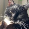Profilbild von peanutandtux