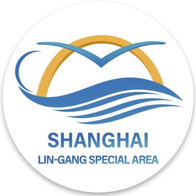 Shanghai Lin-gang Special Area's profile picture