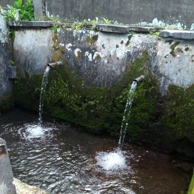 karangawak's profile picture