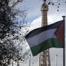 Palestine's profile picture