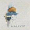 Ali ALMUBARAK's profile picture