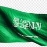 🇸🇦 Munirah منيرة🇸🇦💚#MBS🇸🇦💚's profile picture