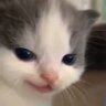 why in gods name would my real name be here profil fotoğrafı