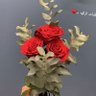 سُهاد🧚🏻♀️ 的头像