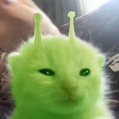 rprpmlove's profile picture