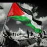 Profilbild von Elsayed salem