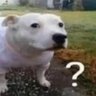 Dvvvvv 的头像
