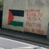 🇵🇸˖🇪🇬يَاسمِينَا˖'s profile picture