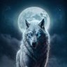 الراقص مع الذئاب 🐾 的头像
