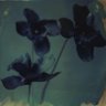 lain's profile picture