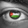 Фото профиля oeil de faucon 🇵🇸🦅