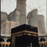Profilbild von نجمة الشمال