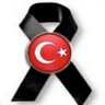 Srpl's profile picture