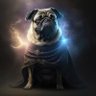 Pug profil fotoğrafı