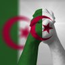 Abbes Dauad 的头像