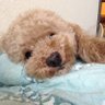 らいむ profil fotoğrafı