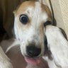 dankito's profile picture