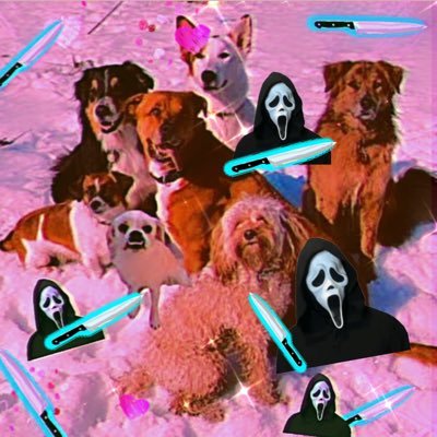 Wills7dogs's profile picture