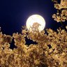 Фото профиля 不争大师