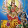 जय माँ भारती🇮🇳🇮🇳🇮🇳 的头像